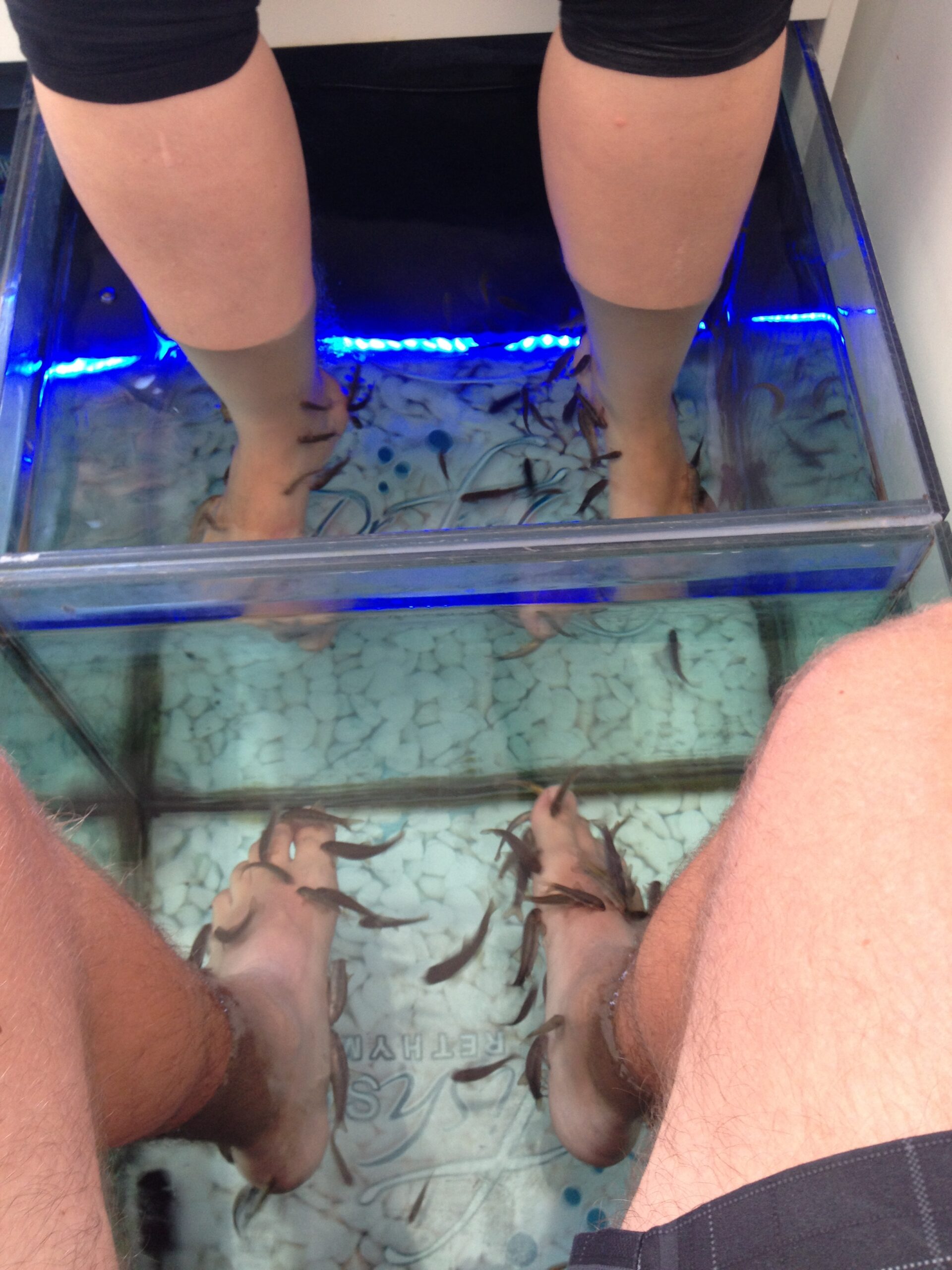 Grèce – Jour 16 (Rethymnon)