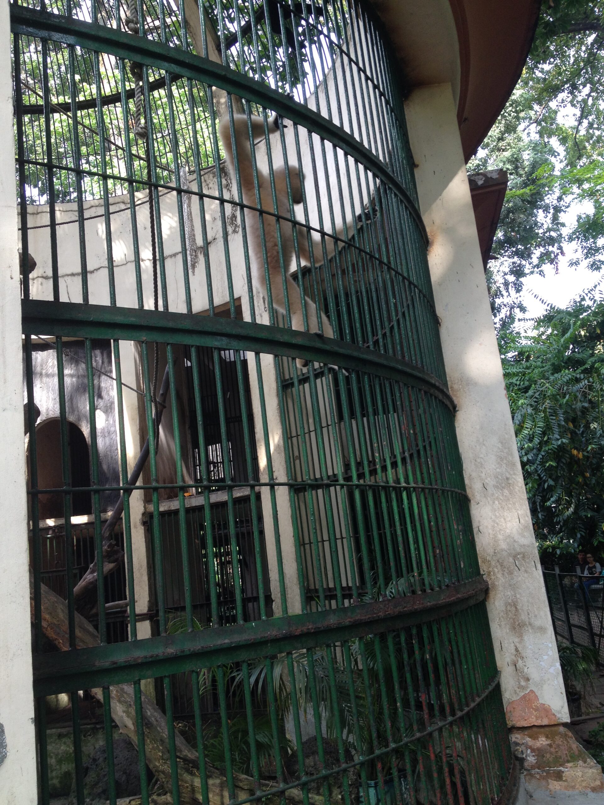 Asie – Jour 27 (Vietnam)