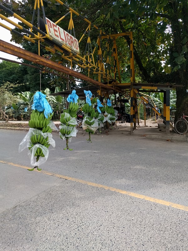 Guatemala : Jour 3 (El Remate)