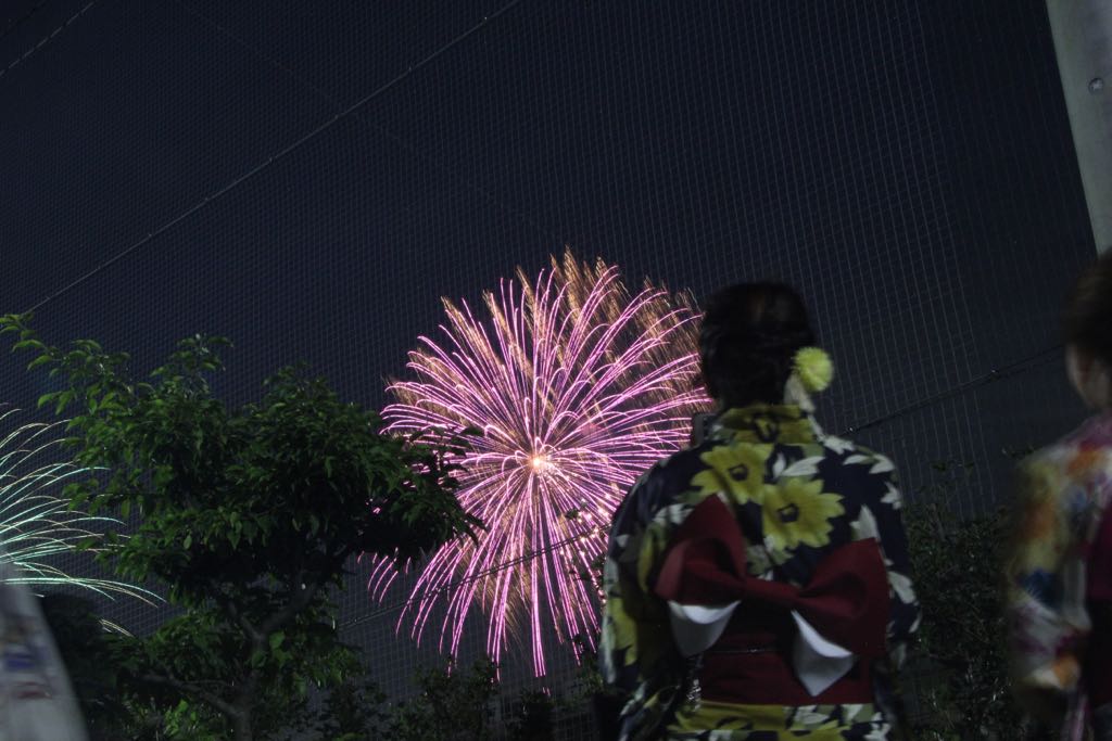 ANECDOTES du Japon : Jour 2 (Tokyo)