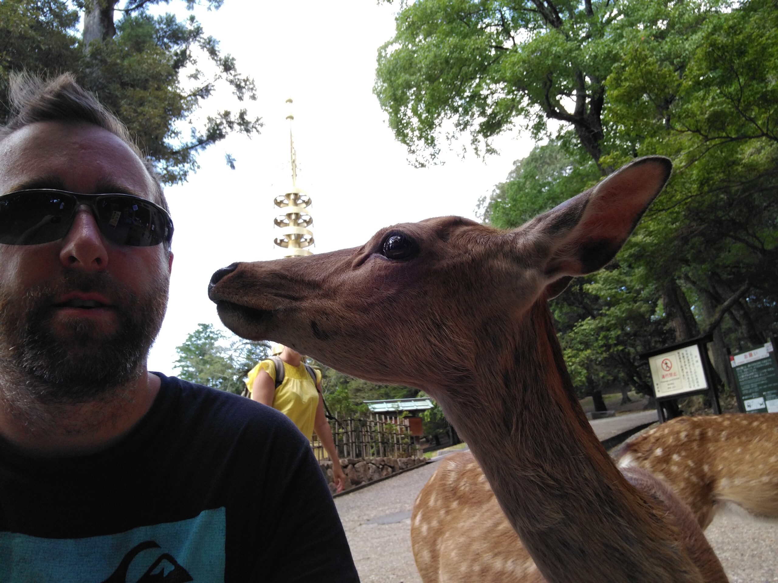 ANECDOTES du Japon : Jour 12 (Nara)